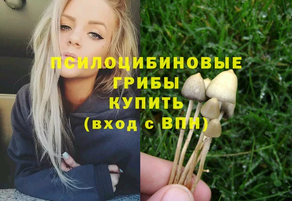 ALPHA-PVP Армянск