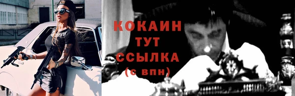 дживик Арсеньев