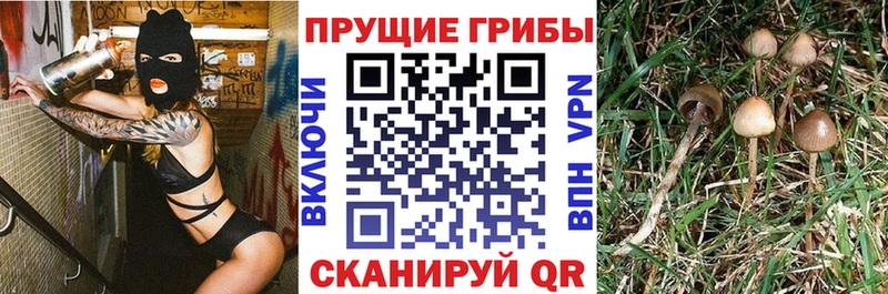 гидра ссылки  Жуковский  Галлюциногенные грибы ЛСД 