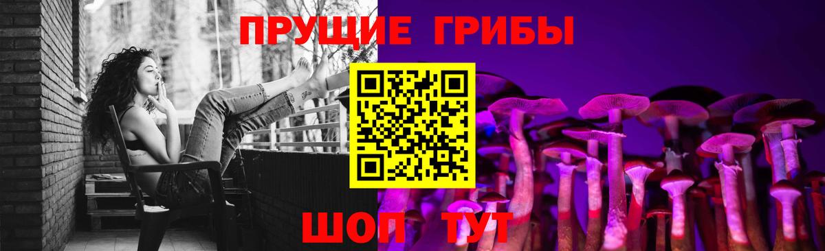 Жуковский  магазин  наркотиков  Вход с VPN  Псилоцибиновые грибы ЛСД 