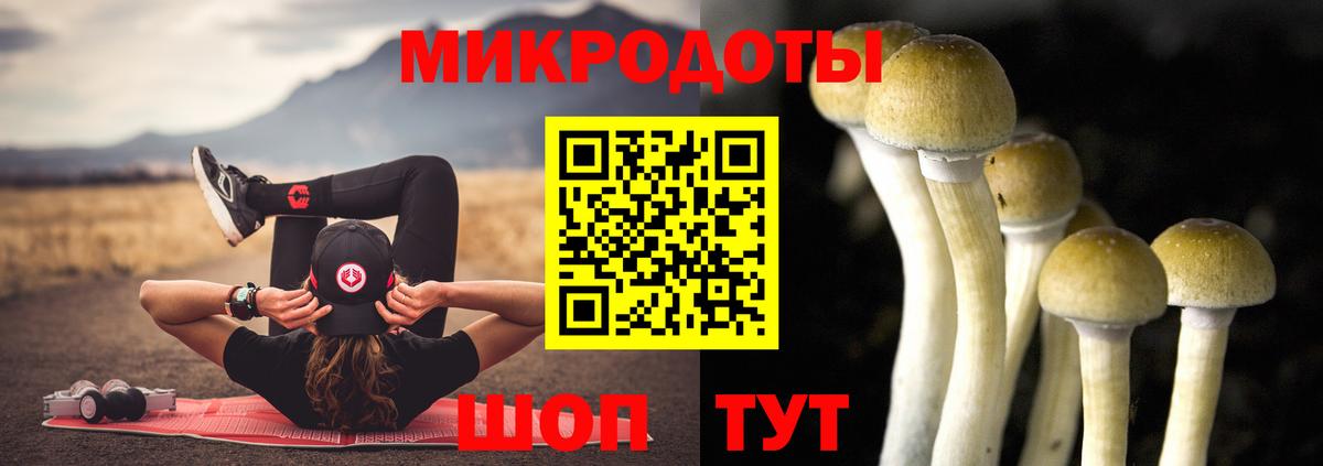 Галлюциногенные грибы Psilocybe Жуковский